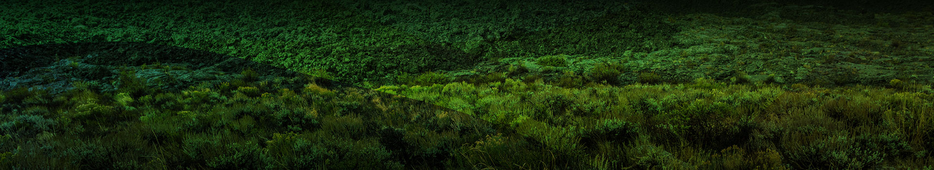 Research & Development Partners